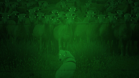 Binoculaires, portée et dispositifs de vision nocturne pour la chasse